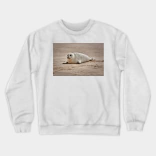 White common seal (Phoca vitulina) pup Crewneck Sweatshirt